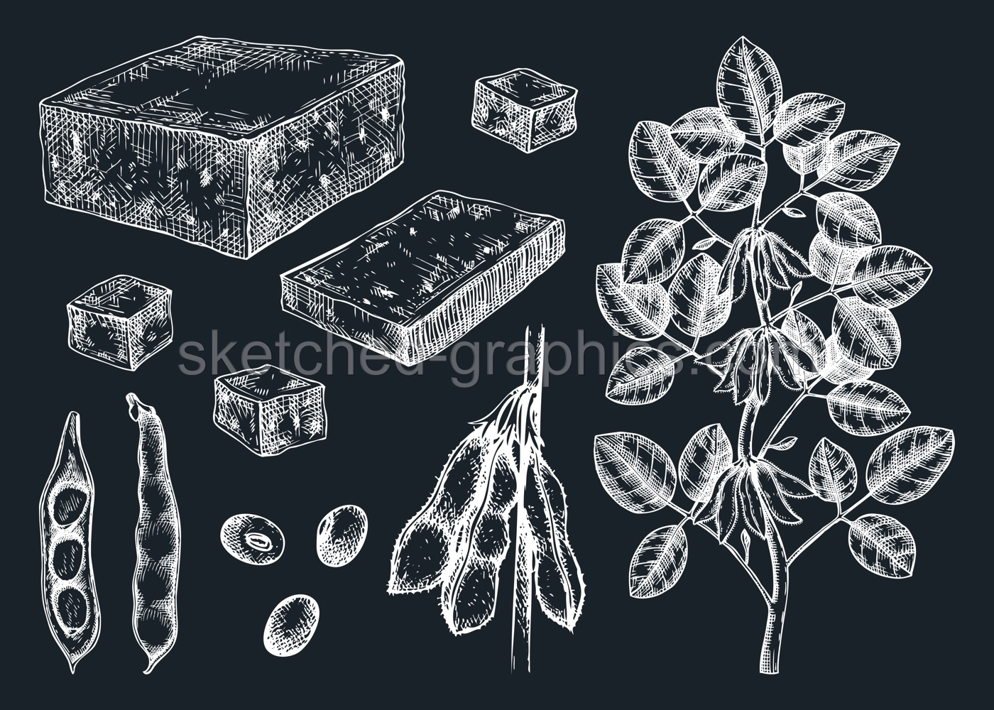 Tofu sketches collection on chalkboard. Sketched vegan vector food illustrations. Traditional Asian food ingredients. Tofu, soybeans, soya plant for packaging, menu, recipe, and product design Illustration